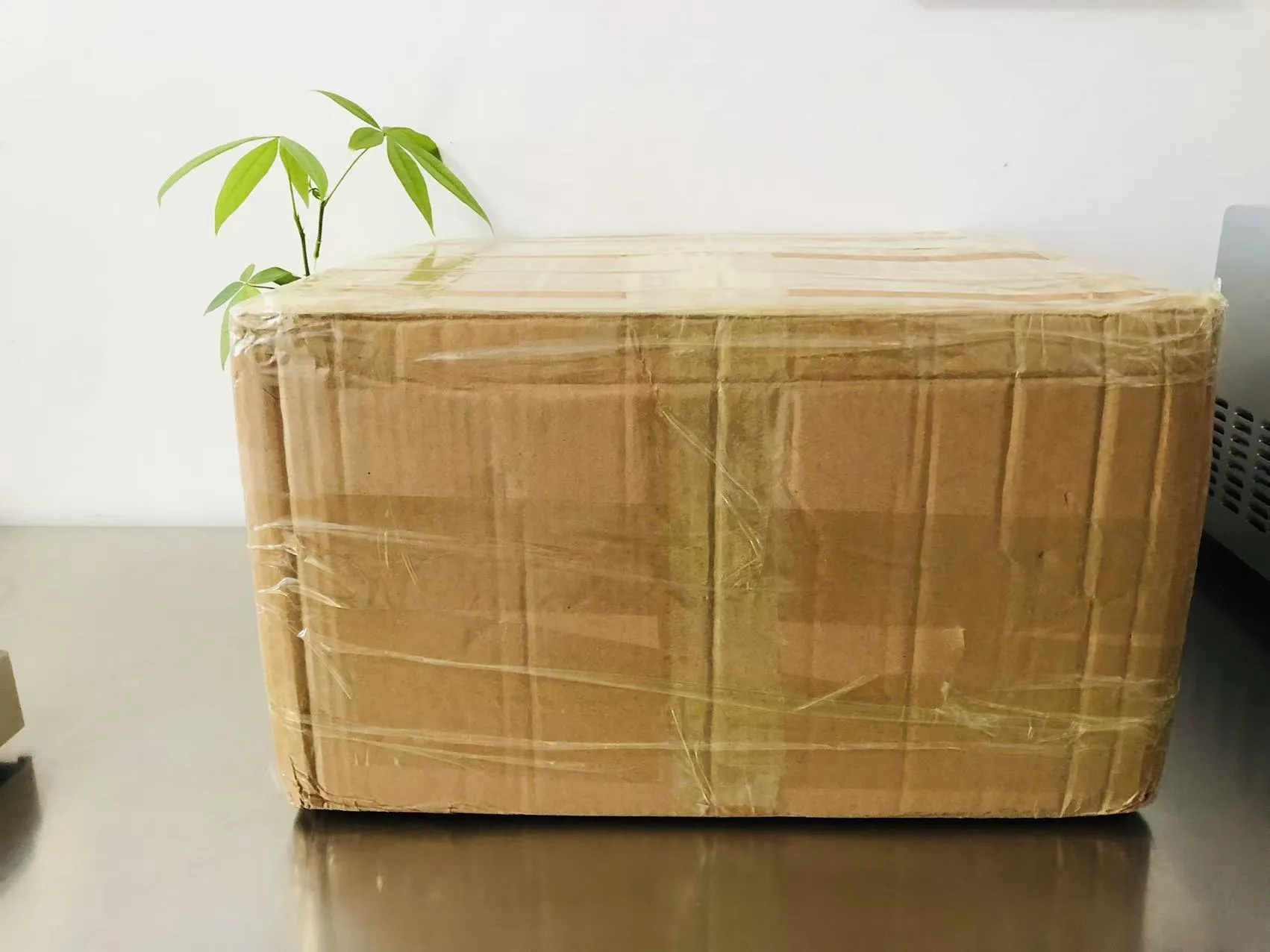 Multikad tahked epoksükleebised teel Jaapanisse